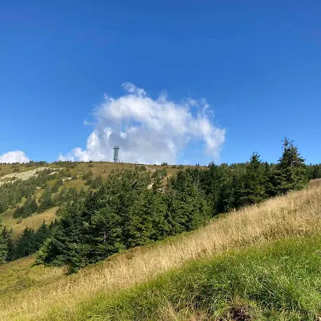 U Skoly * Staré Město