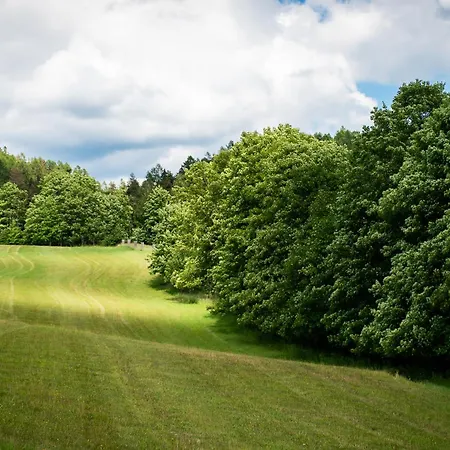 U Skoly * Stare Mesto (Olomouc)