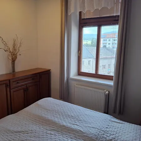 U Skoly 公寓 Staré Město