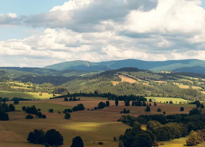 U školy Staré Město